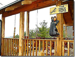 Tree Tops Cabin's Bear